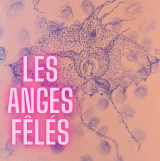 Les anges Fêlés